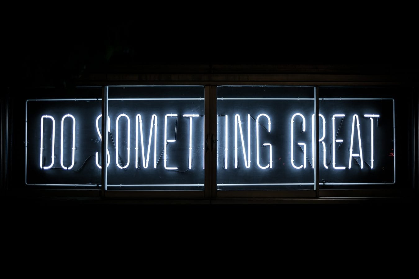 Search engine optimization auditing